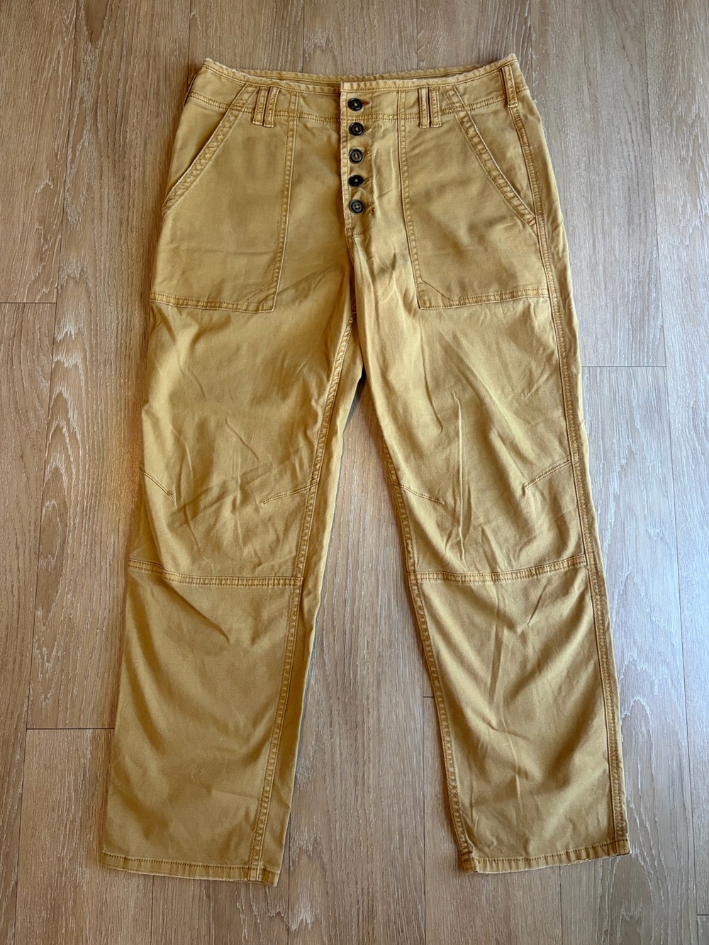 Anthropologie The Wanderer Tan Cargo Pants